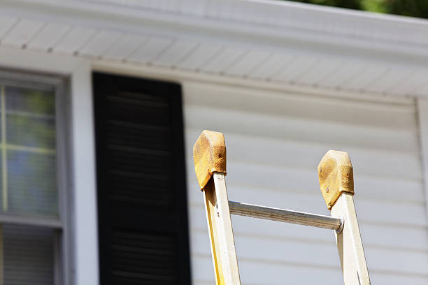 Best Carpet Removal and Disposal  in Genoa, AR